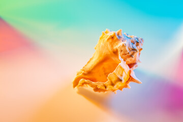 Wall Mural - Seashell on abstract spectrum neon background. Summer trendy colorful concept.