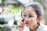 Fototapeta Desenie - 木の枝の新芽を虫眼鏡で見る少女