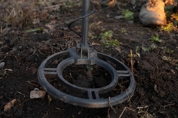 metal detector coil close up, search for scrap metal in the ground.