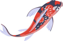 Japanese Koi Carp Fish Cartoon Illustration