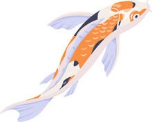Asian Koi Carp Fish Swim Cartoon Illustration