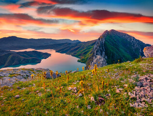 Wall Mural - breathtaking sunrise on bovilla lake, near tirana city located. incredible spring landscape with blo