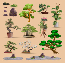 Set Of Bonsai Japanese Trees Grown In Containers. Beautiful Realistic Tree, Garden Stone, Plant. Bonsai Tree On The Box. Decorative Little Tree Vector Illustration. Nature Art