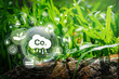 Developing sustainable CO2 concepts and renewable energy businesses, reducing CO2 emissions in an environmentally friendly way using renewable energy. 