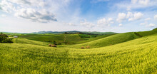Unique Green Landscape In Volterra Valley, Tuscany, Italy. Scenic Dramatic Sky And Sunset Light Over Cultivated Hill Range And Cereal Crop Fields. Toscana, Italia.
