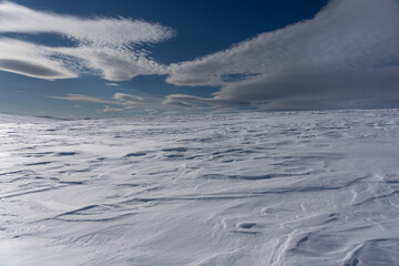 Wall Mural - Winter landscape