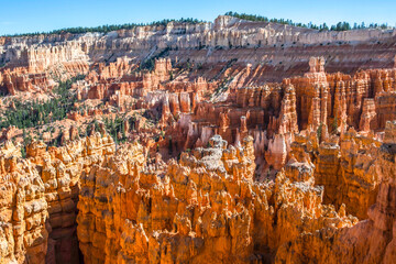 Wall Mural - Red Rocks Hoodoos in Bryce Point at Bryce Canyon National Park, Utah