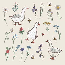Goose Farm Animal With Flowers Vector Illustrations Set
