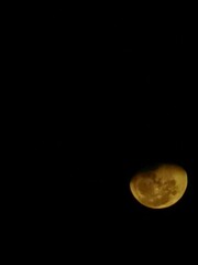 moon in the sky