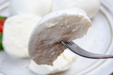 Tasing of fresh italian cheese mozzarella di buffalo