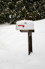 White Roadside Mailbox With Red Flag On A Wooden Post On A Snowy Day. An Isolated Mailbox Covered In Snow With Snow And Green Trees At The Background.