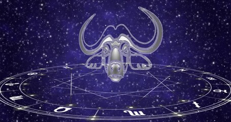 the signs of the zodiac horoscope wheel on dark star sky background animated loop 4k footage