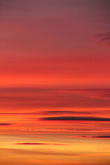 Wall Mural - Multicolored soft clouds at sunset. Close up. Vertical.