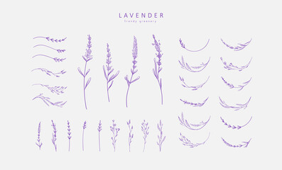 Wall Mural - set of lavender logo and branch. hand drawn wedding herb, plant and monogram with elegant leaves for