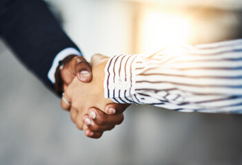 Wall Mural - Lets make this partnership work. Closeup shot of two businesspeople shaking hands in an office.