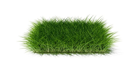 rectangle square patch or island of long green grass isolated on white background, spring or eco con