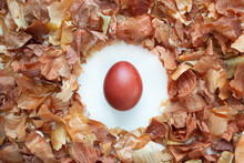 Red Easter egg on a white background in the onion husk top view.