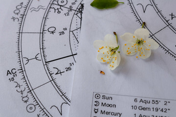 detail of printed astrology chart with jupiter planet and ascendant in pisces and two small spring f