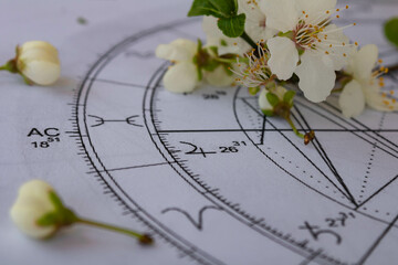 close up of printed astrology chart with ascendant and jupiter planet in pisces and small white spri