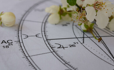 close up of printed astrology chart with ascendant and jupiter planet in pisces and small white spri