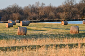 Poster - Hay Bales by a Pond in a Farm Field