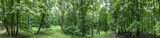 Fototapeta Sawanna - amazing nature landscape with green trees in public park at cloudy summer day. aerial panoramic view.