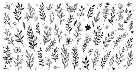 Aufkleber - Leaf branch wreath rustic set. Hand drawn sketch doodle style leaf. Flourish branch, laurel flower for border, divider design element. Vector illustration.