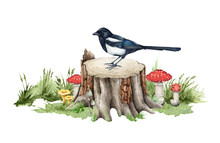 Magpie Bird On A Wood Forest Stump. Watercolor Illustration. Hand Drawn Tree Stump With A Magpie, Mushrooms, Green Grass. Forest Natural Scene. Wildlife Nature Element. White Background