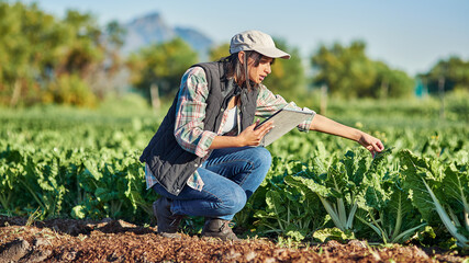 Poster - Good farmers check the state of their crops regularly. Full length shot of a young female farmer using a digital tablet while inspecting crops on her farm.