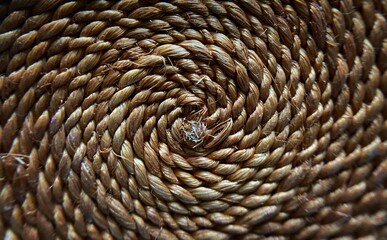 Close up of a spiral string. Texture background.