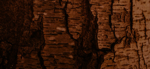 old wooden texture