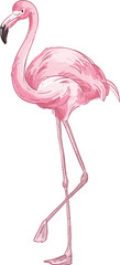 Poster - Elegant Flamingo Bird Realistic Illustration