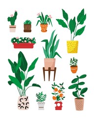 Set of decorative home flowers and potted plants isolated on white. Collection of home flora for a flower shop, gardening service. Women's hobby taking care of flowers. Cartoon  vector illustration.