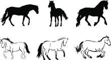Set Of Horses Silhouettes Ad Line Art Drawing Illustrations 