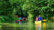 © ARochau - Naturerlebnis mit Kanu und Kayak in einer wildromantischen Flusslandschaft