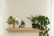© New Africa - Beautiful green houseplants and picture on wooden shelf indoors. Interior design