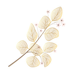 Wall Mural - branch with leaves eucalyptus. leaf veins. vector illustration.
