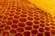 Leinwandbild Motiv Yellow Honeycomb closeup background