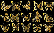 Butterflies Set Golden Silhouette On Black Background Isolated Vector