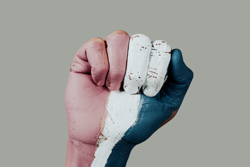 Sticker - raised fist with the transgender pride flag