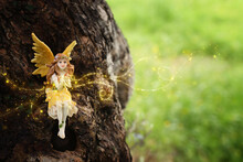 Image Of Magical Little Fairy In The Forest