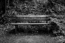 Grayscale Photo Of A Wooden Bench