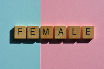 Wall Mural - Female, Male, wordplay banner headline