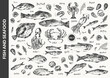 Hand drawn ink sketch of seafood, fish for menu background