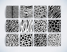 Wild Safari Animal Black And White Seamless Pattern Collection. Vector Leopard, Cheetah, Tiger, Giraffe, Zebra, Snake Skin Texture Set For Fashion Print Design, Fabric, Textile, Background, Wallpaper
