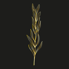 Wall Mural - art, golden branch of leaves. vector illustration.