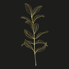 Wall Mural - Art, golden branch of leaves. Vector illustration.