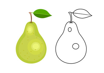 Wall Mural - Green pear color cartoon illustration and simple outline. Vector fresh fruit. Flat icon.