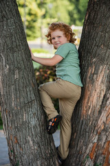 Wall Mural - smiling redhead boy looking at camera while climbing on tree in park.