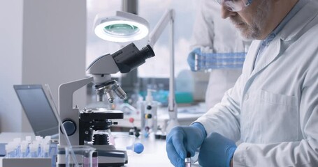 Wall Mural - medical researcher working in the laboratory